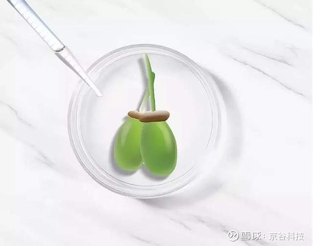 功效性护肤市场爆发,成分“潜力股”——青刺果实力出圈! 功效性护肤时代下,功效性护肤品消费需求人群持续扩容。京谷农业智库(JGAG)认为,我国 ...