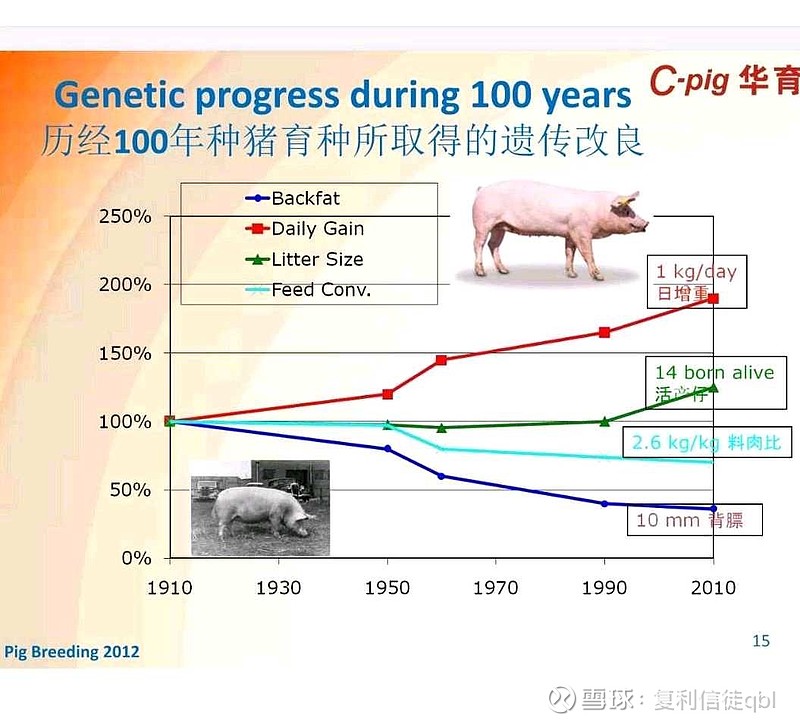 种猪品种退化的原因 ①不同品种杂交后,形状分离。从而破坏品种的一致性和优秀性。②选择错误,造成品种混杂退化③生长环境和引进种猪的原产地不同 ...
