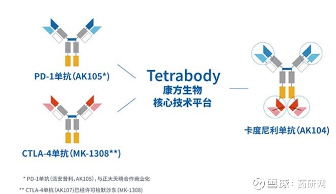 全球获批的10款双抗全梳理 近期，艾伯维/ Genmab 的CD3/CD20双抗获批上市，用于治疗复发难治性弥漫大B细胞淋巴瘤（R/R ...