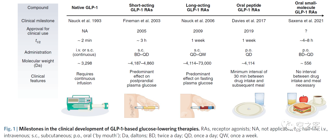 glp-1 monthly Timeline of Progress on GLP-1 Medications