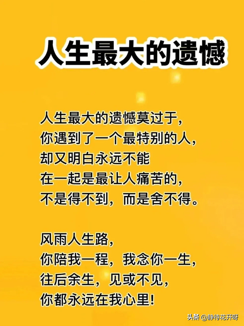 深入剧情电影的迷人世界