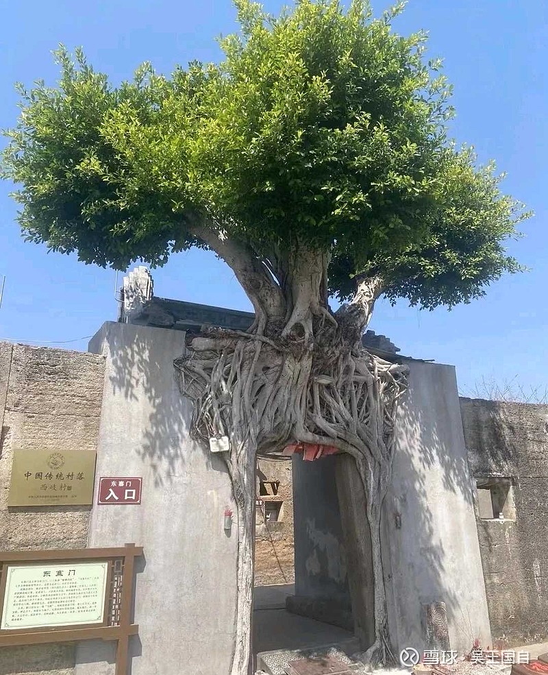 慌张,是因为准备不足,急躁,是因为经历不够,轻浮,是因为眼光不远,烦乱,是因为思路不清,压力,是因为期待太高,恐惧,是因... - 雪球