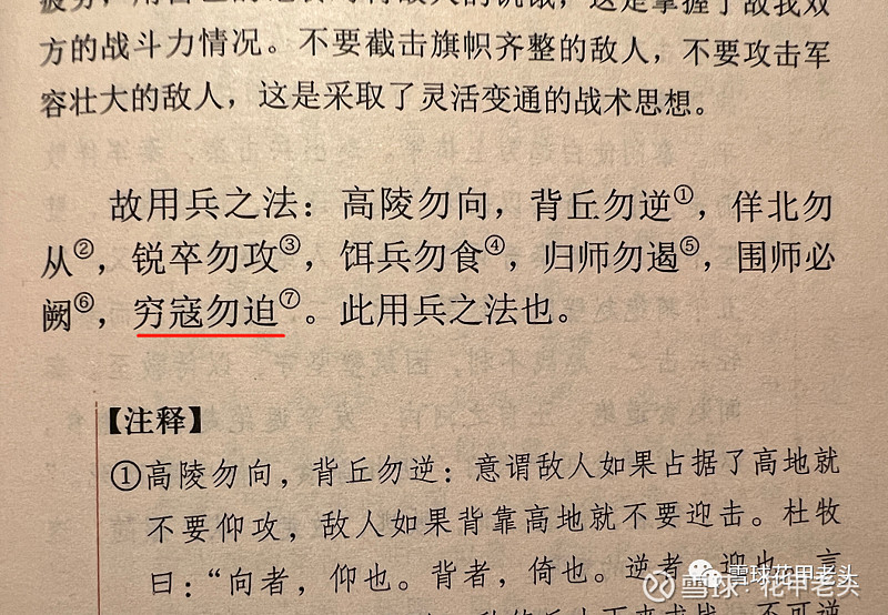 绝处逢生一生肖