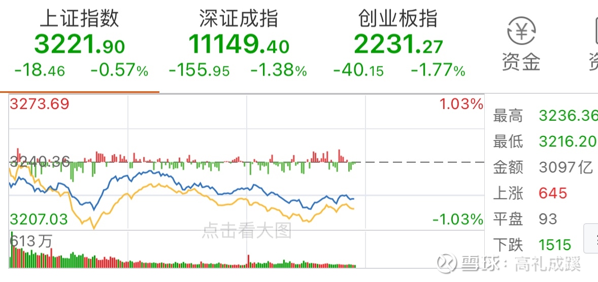 市场概况是什么