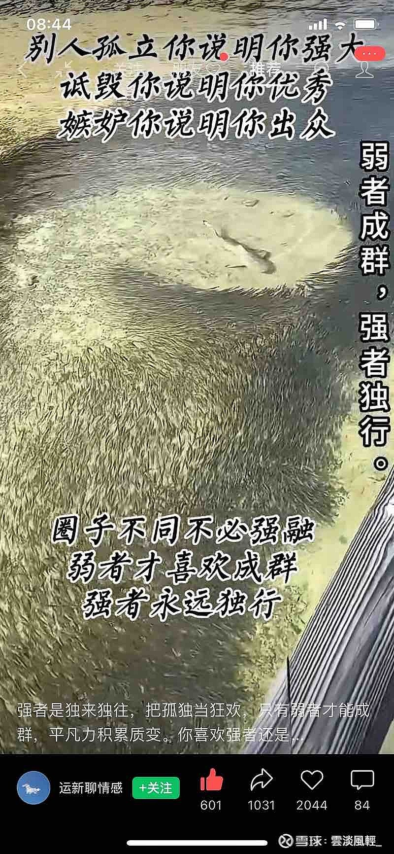 全面做空美国中小银行🏦❗️以及纳斯达克指数❗️为什么不是道琼斯❓而是纳斯达克呢❓🤔别问，信就干吧$上证指数(...