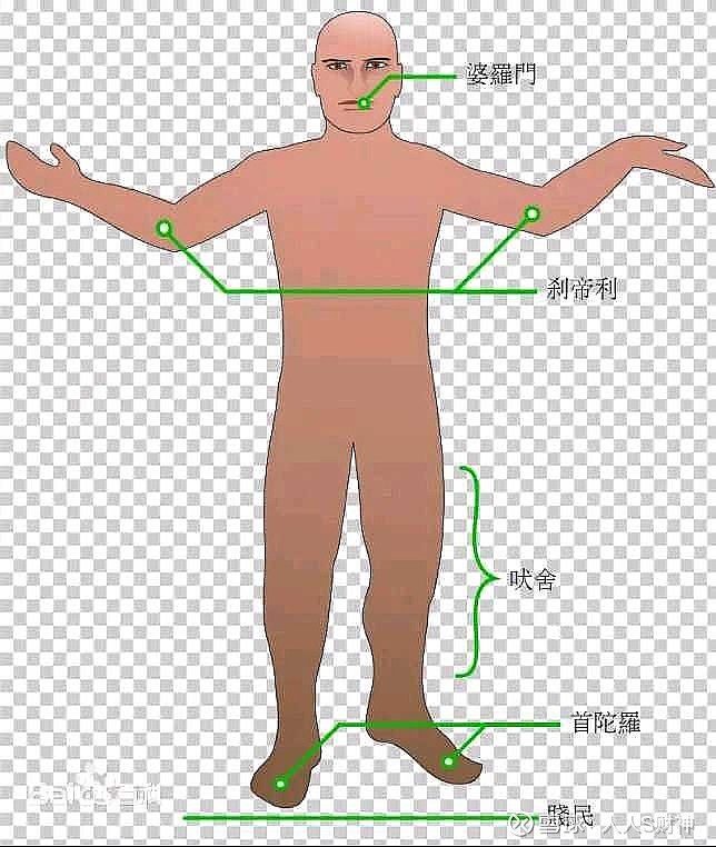 【阶层血脉压制】印度种姓制度五个等级 印度种姓制度五个等级有婆罗门、刹帝利、吠舍、首陀罗、贱民。1、婆罗门,代表天神的嘴,这一等级主要是僧侣 ...