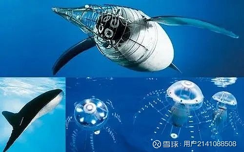 生物仿生学:从自然中汲取灵感创新科技 生物仿生学是一门研究从自然界中汲取灵感,并将其应用于创新科技的学科。它通过模仿生物体的结构、功能和行为 ...