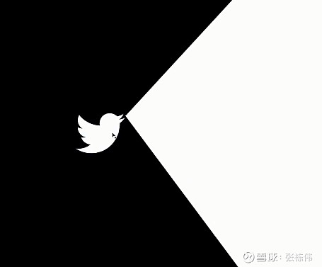 #推特标志将被改为x# 用 Adobe Illustrator 放大最新的 X logo 的矢量图 640 倍，有彩蛋。... - 雪球