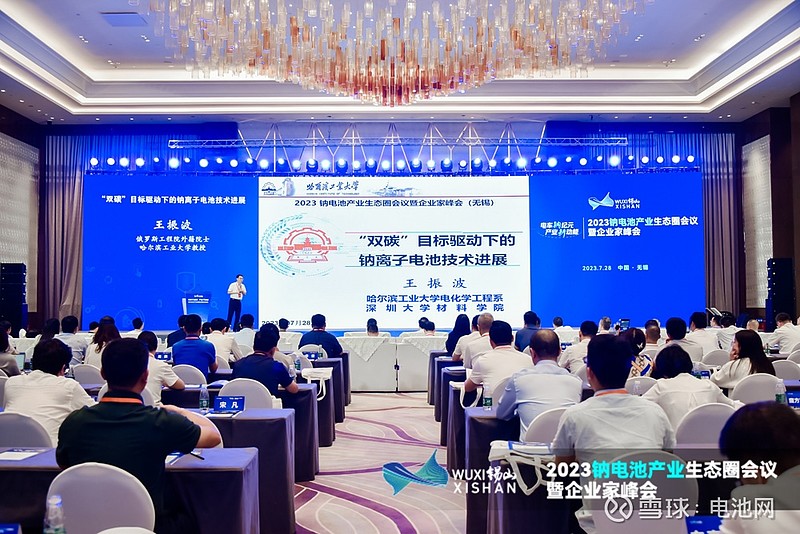 【王振波院士:钠电补充锂电 材料体系多线并存】俄罗斯工程院外籍院士/哈尔滨工业大学教授王振波在2023钠电池产业生态圈会... - 雪球