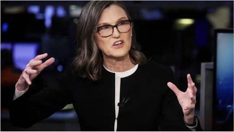 特别担忧中国房地产,女股神"木头姐"清仓中概股