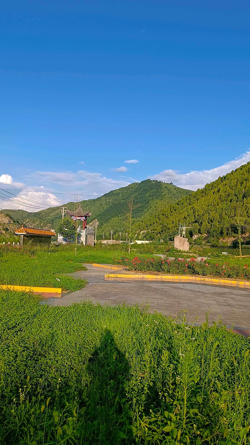 最近几天来河南西部山区的一个小