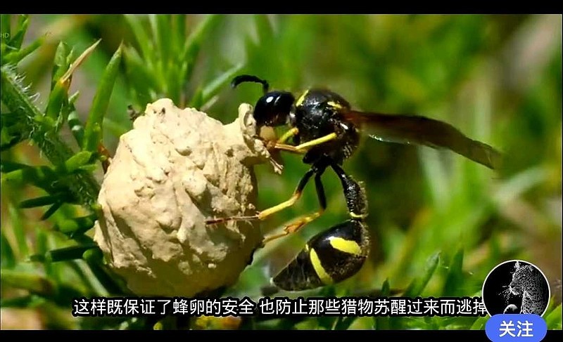 作者: