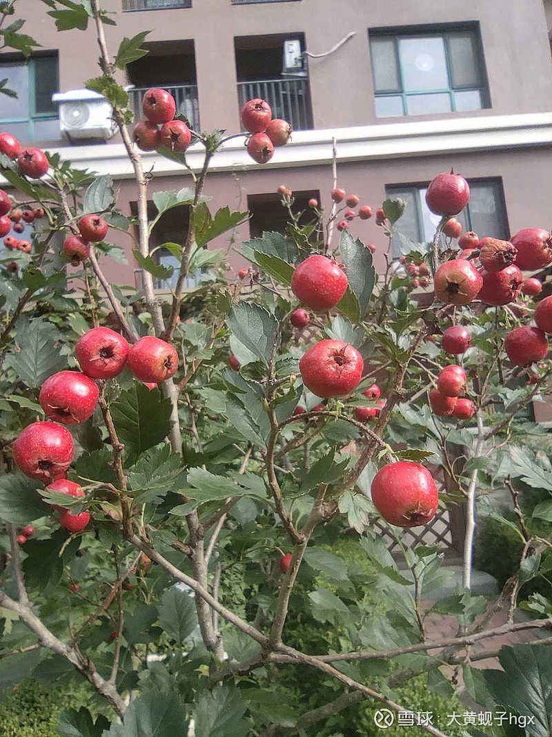 大家可以想象一个场景，有一堆人高喊牛市来啦！大家快进场！然后乌泱乌泱的人就涌过来，贷款的贷款借钱的借钱，把仓位打满，等着...