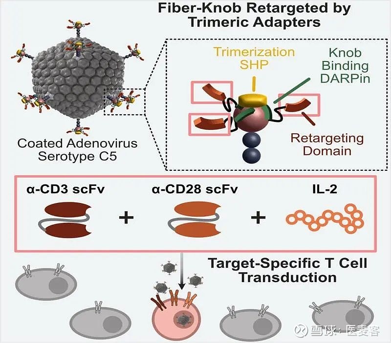 基于CRISPRa系统的靶向“shock and kill”基因疗法让HIV1无处潜藏！ 2023年8月13日/医麦客新闻
