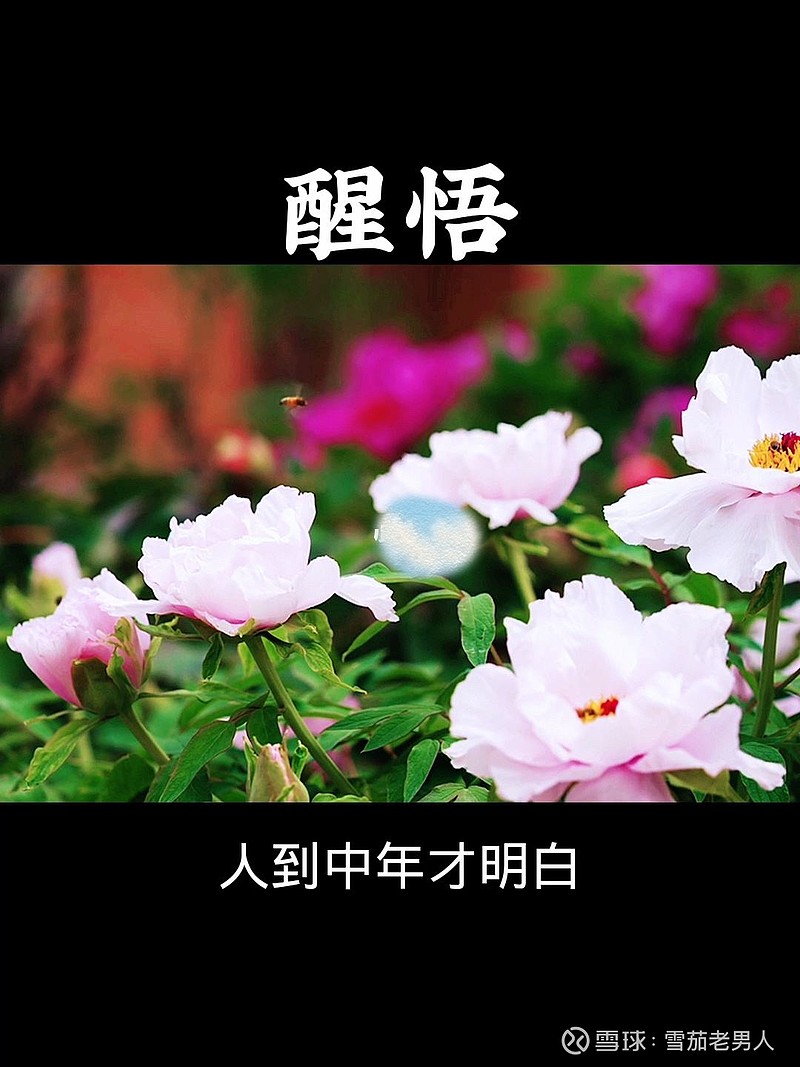 走不出自己的执念，到哪里都是囚徒【悟】 作家茨威格说过：“适度的坚持是执着，执着是良药；过度的执着是执迷，执迷是毒药。”执念一起，处处都是牢笼 ...