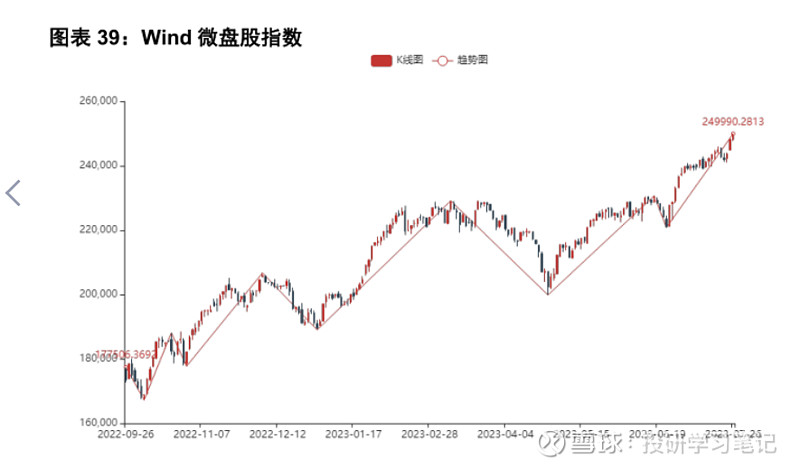 股票wd什么意思 (股票名称后面的wd是什么意思)