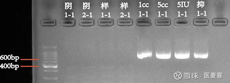 合佑生生物|RCL检测平台新选择 质量为先 创新为本 Quality First Innovation Based 根据最新发布的《体外基因 ...