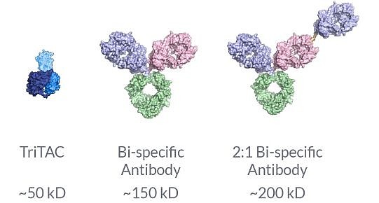 1-abbvie-t-9-13-harpoon-abbvie