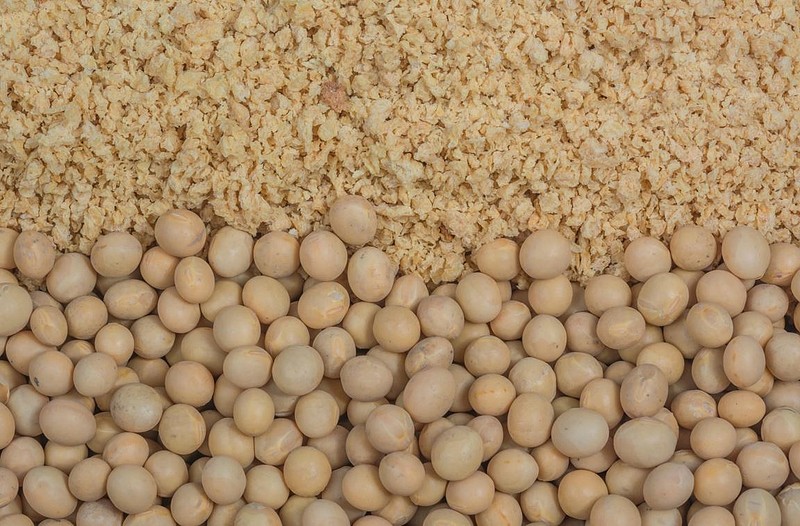 季节性供应压力,致追高动力不足,豆粕etf维持震荡 20230925 【豆类