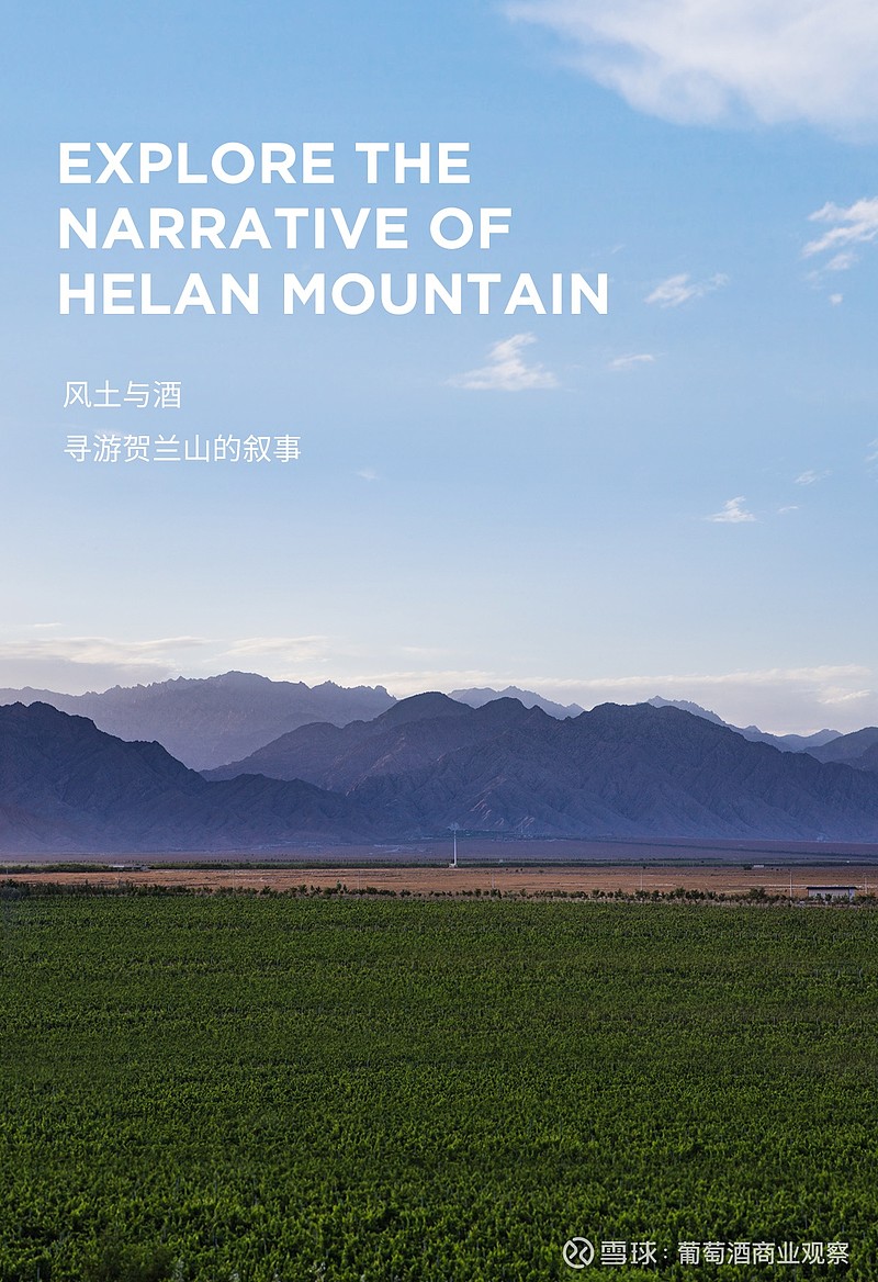 独家专访 | 对话葡萄酒大师刘琳 世界葡萄酒大师刘琳让世界听见中国声音首位中国籍女性世界葡萄酒大师The first CHINESE ...