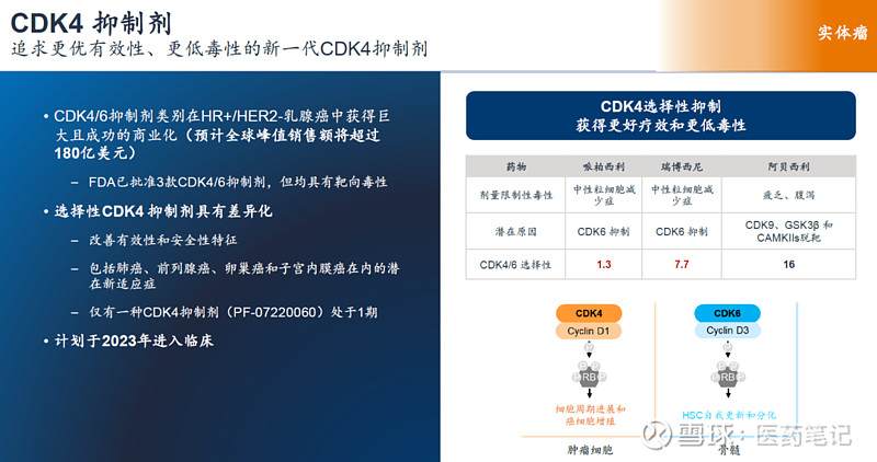 百济神州：新一代CDK4抑制剂启动一期临床 Armstrong 2023年11月6日， 百济神州 BGB-43395片的临床试验申请获得 ...
