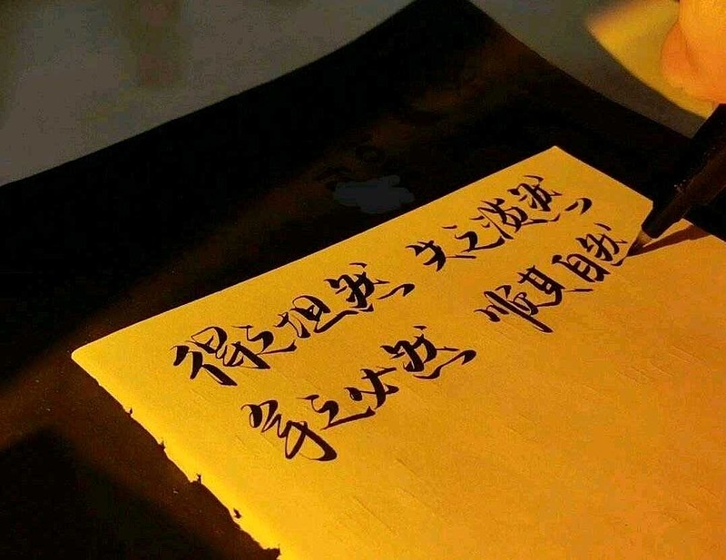 资本投资青睐生态保护