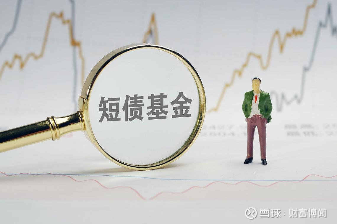 短债基金是什么，有什么优势？ 基金因为其良好的流动性和较低的门槛和成本，受到很多投资者的青睐。但无论是 股市还是债市，与收益同行的永远还有风险，合理配置...
