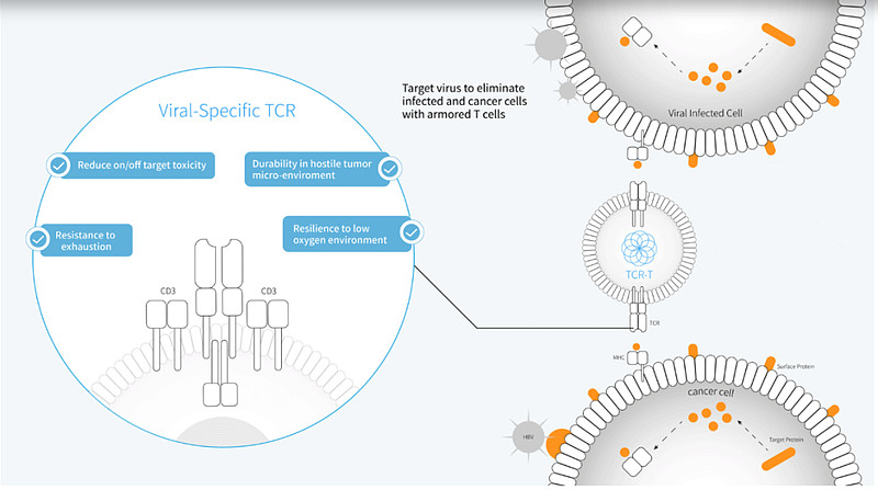 tcrt免疫療法登上美國肝病大會aasld舞臺晚期肝癌治療迎來創新曙光