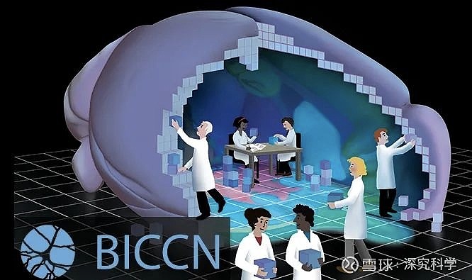 重磅成果出炉,10篇论文首次揭示小鼠完整大脑详细图谱,曾红葵、庄小威、任兵等人参与 导读大脑是神经系统最高级的部分。2013年,美国NIH启动 ...