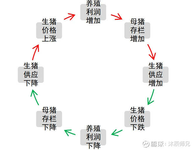 三,猪周期的逻辑