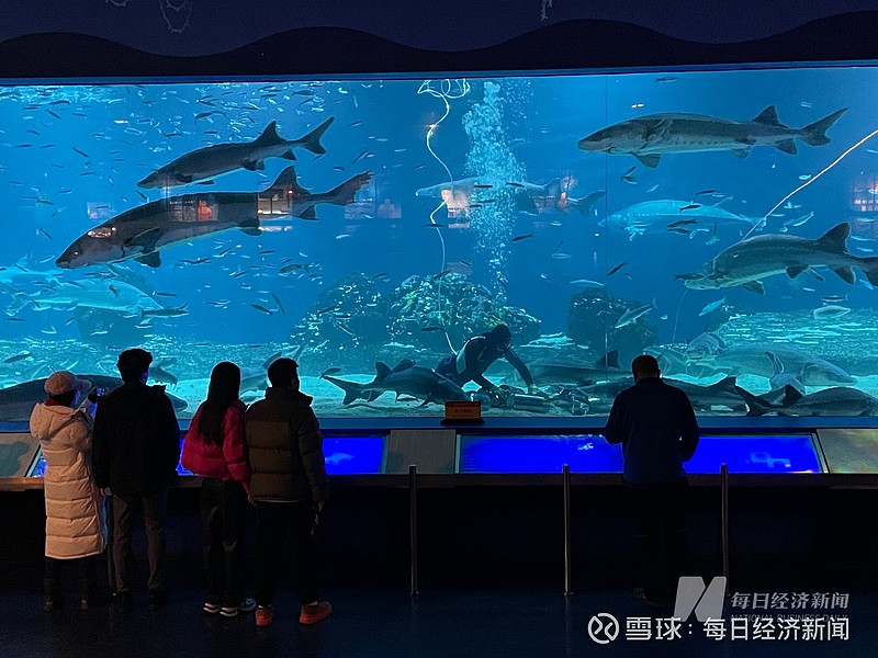 調查茂化實華出售北京海洋館難產兩關鍵人牽出神秘買家背後關係網