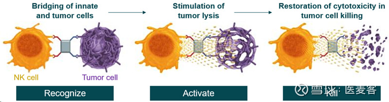 NK接合器龙头重组“自救”，超4000万出售子公司 2024年1月11日/医麦客新闻 EMedClub News/--近日，NK细胞接合器龙头 ...