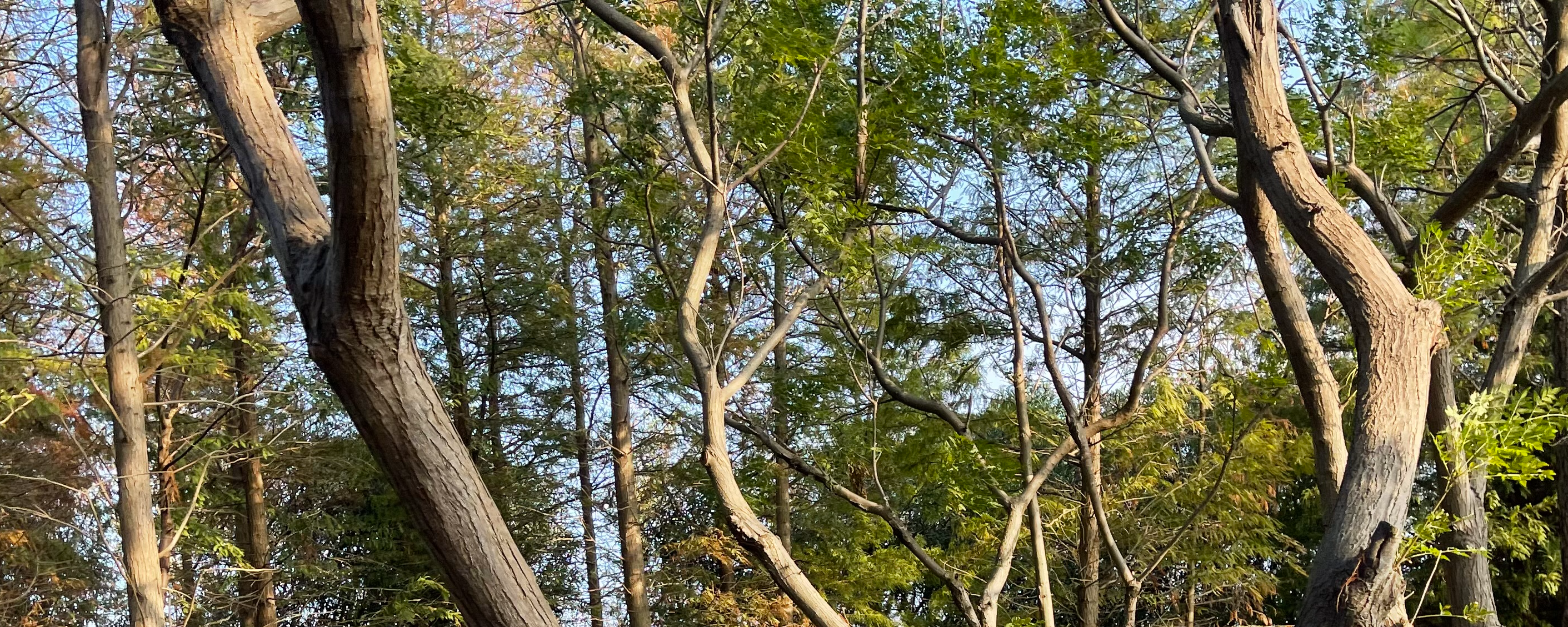 2024年纳斯达克、纽交所休市时间上面列表中，左边为美国节日，右边为美股休市时间（美国东部时间）。在休市的时候， 纳斯达克