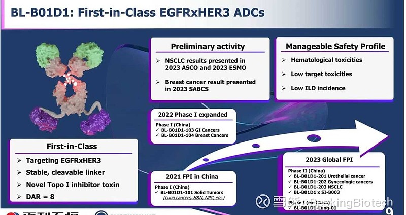 EGFR/HER3双抗ADC<