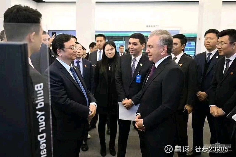 乌兹别克斯坦总统访问 比亚迪 