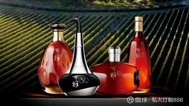 可雅白兰地强势增长,全方位展现硬核实力 可雅白兰地 可雅白兰地,不仅是中国白兰地的标杆产品,更以强劲实力在世界舞台上占据了一席之地。 可雅,不 ...
