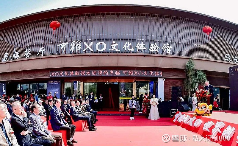 可雅白兰地强势增长,全方位展现硬核实力 可雅白兰地 可雅白兰地,不仅是中国白兰地的标杆产品,更以强劲实力在世界舞台上占据了一席之地。 可雅,不 ...