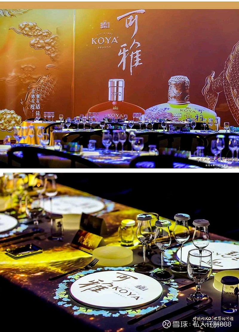 可雅白兰地强势增长，全方位展现硬核实力 可雅白兰地 可雅白兰地，不仅是中国白兰地的标杆产品，更以强劲实力在世界舞台上占据了一席之地。 可雅，不 ...