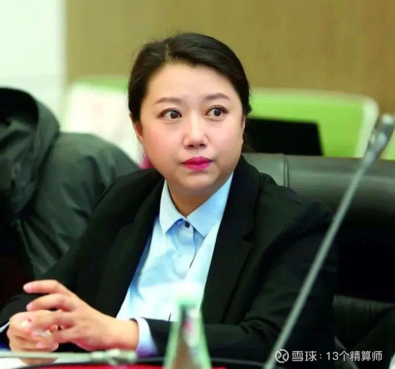 致敬保险业的女神们19位董事长19位总经理