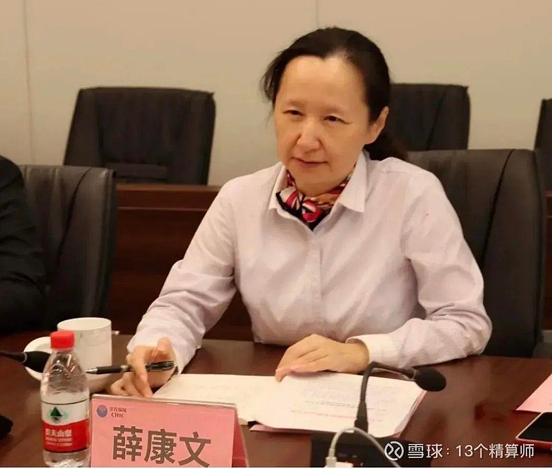 致敬保险业的女神们19位董事长19位总经理