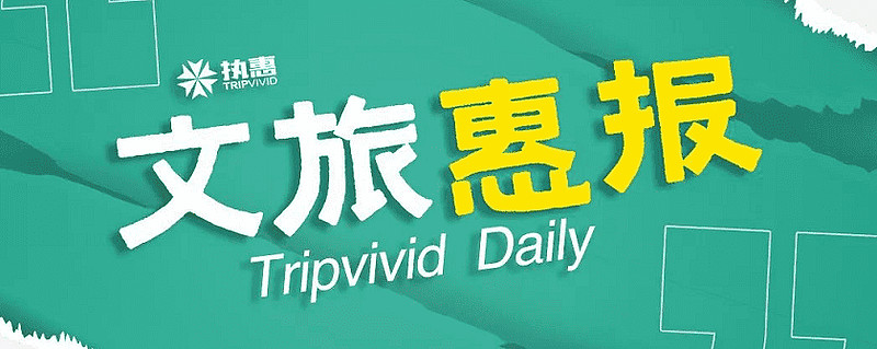 文旅惠报民宿管家职业标准2024年版发布锋尚文化2023年净利增长111