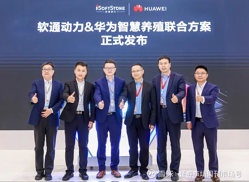 在大会开放演讲区,软通动力高级副总裁向翩翩与华为大企业国资央企