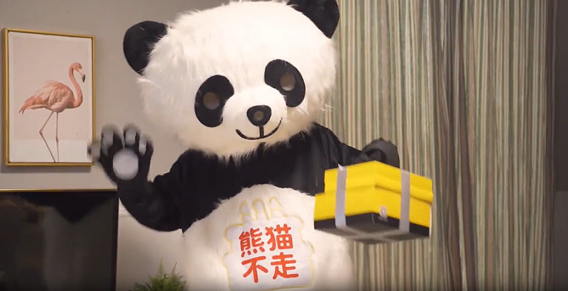 欠债6000万熊猫不走要走了