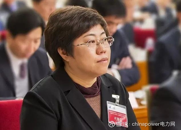 网络)黄海燕,女,曾任华能新能源公司辽宁分公司总经理,落马前任中国