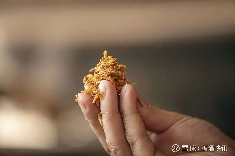 2024且听风吟再谈白酒美学运动