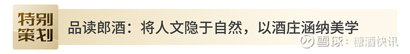 2024且听风吟再谈白酒美学运动