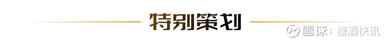 2024且听风吟再谈白酒美学运动