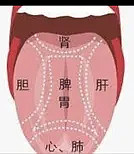 中医教你看舌头系列——舌头也能看出抑郁吗? 舌头也能看出抑郁吗?是的!有一种舌象,被称做“肝郁舌”。顾名思义,是舌的主人肝郁了,舌才有这样的 ...