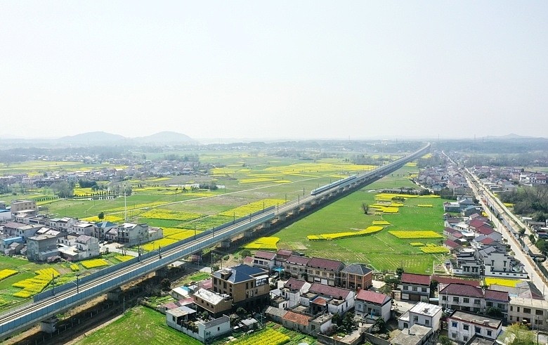 随着气温逐渐升高,安徽省安庆市太湖县各乡村的油菜花已进入盛花期,金