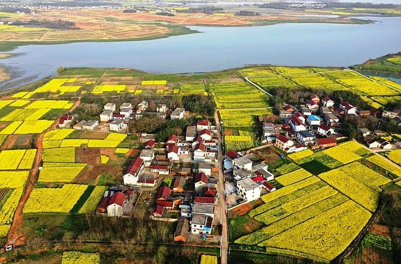 安徽农村景色图片